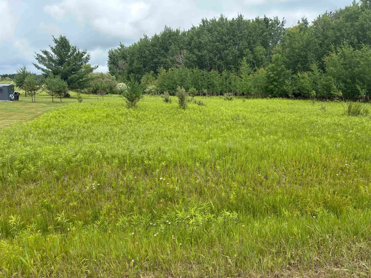 Lot 31 Dundee, Gladwin, MI 48624 - #1