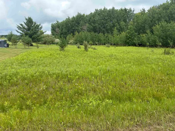 Lot 31 Dundee, Gladwin, MI 48624
