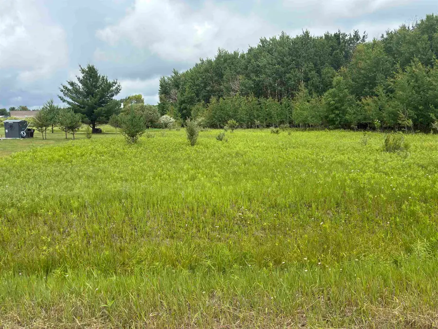 Lot 31 Dundee, Gladwin, MI 48624 - #2