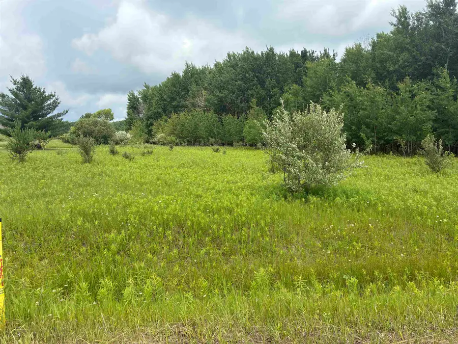 Lot 31 Dundee, Gladwin, MI 48624 - #3