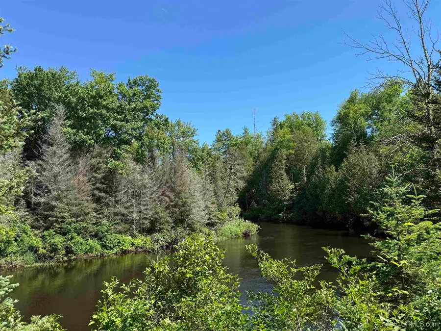 31 Acres off Bobs Creek Truck, Gwinn, MI 49841 - #3