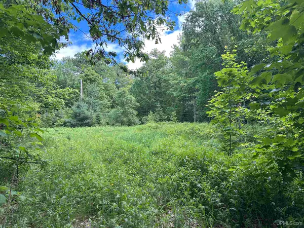 TBD N Carlshend, Skandia, MI 49885