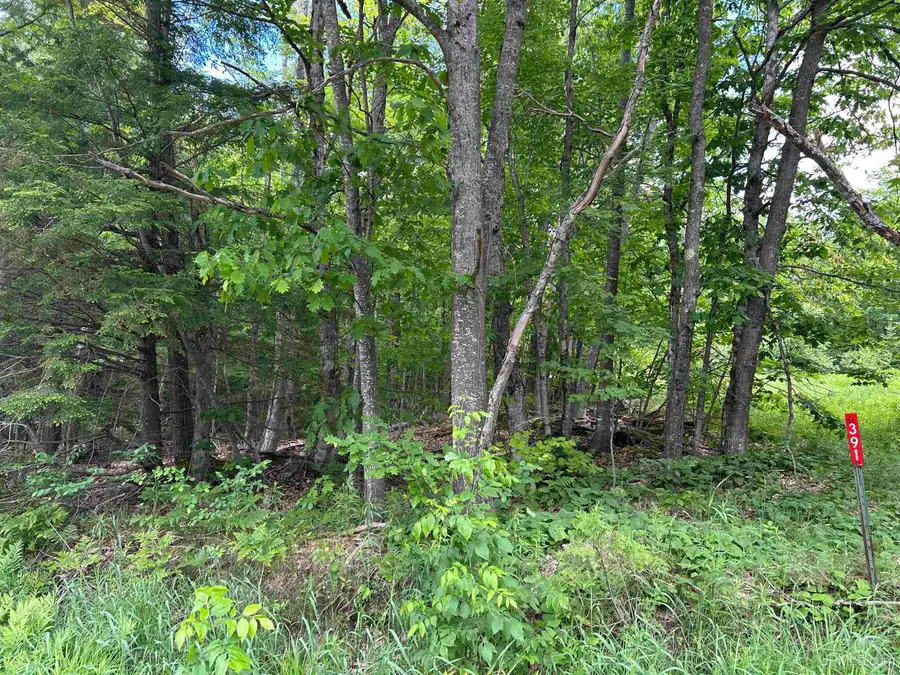 TBD N Carlshend, Skandia, MI 49885 - #3