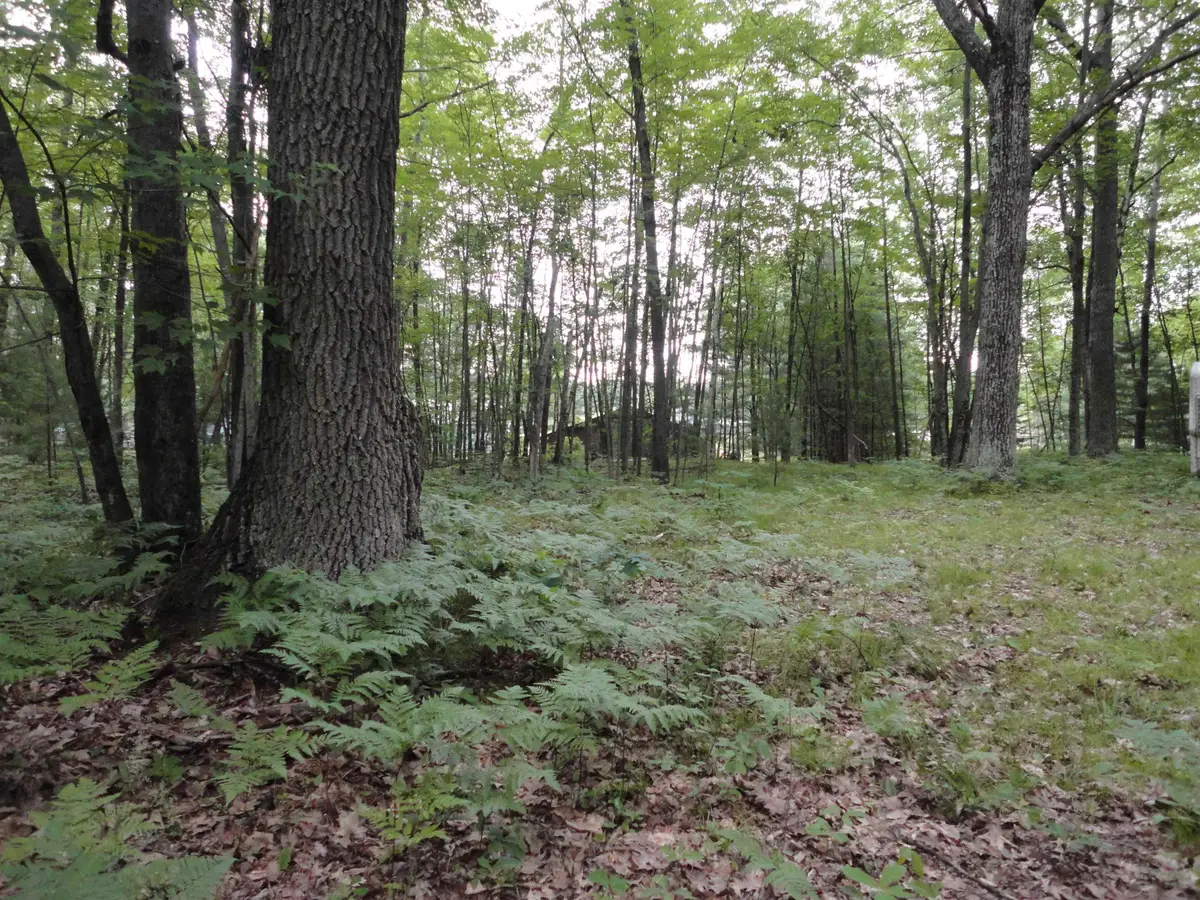tbd Lakewood, Lake, MI 48632 - #1