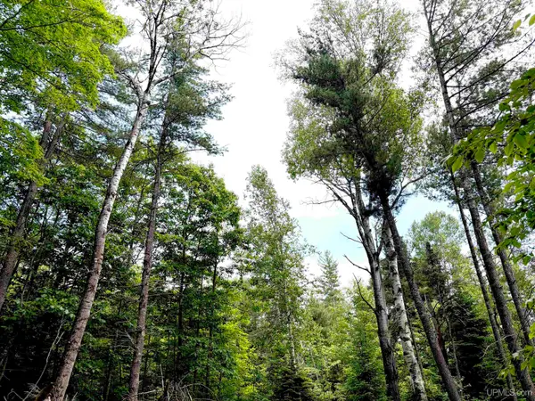 TBD Westwood, Ishpeming, MI 49849