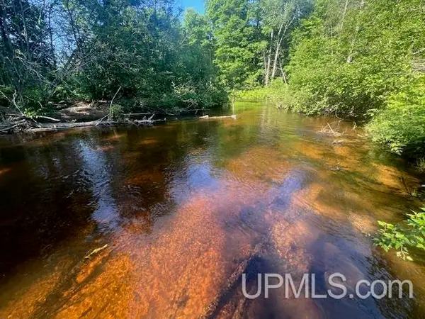 TBD 11.6 Acres Off Remington, Marquette, MI 49855