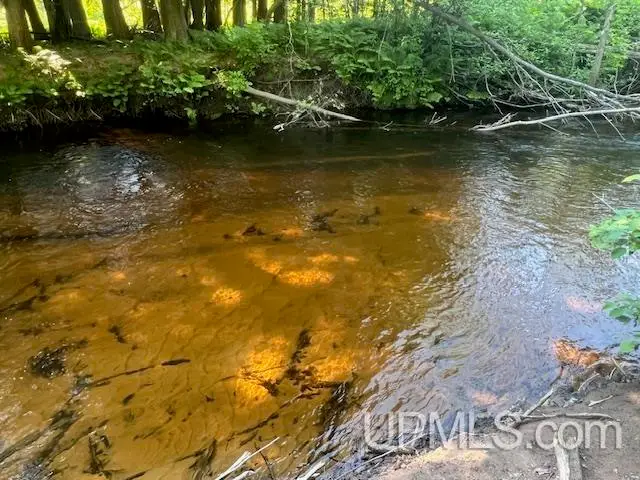 TBD 11.6 Acres Off Remington, Marquette, MI 49855 - #2