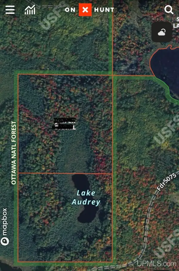TBD Off Rifle Range, Watersmeet, MI 49969