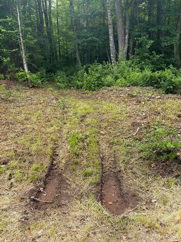 Tbd Old Us2, Wakefield, MI 49968