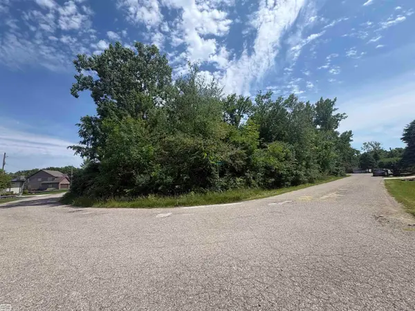 V/L N Heron, Lapeer, MI 48446