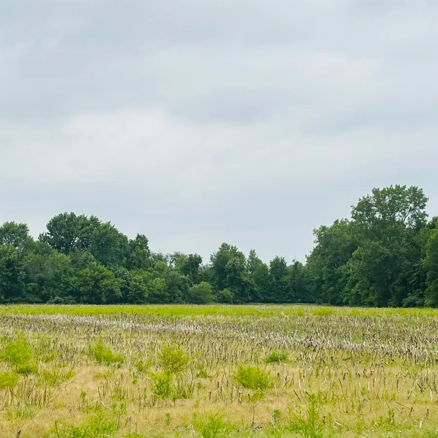 0 E Lapan, Pinconning, MI 48650 - #2