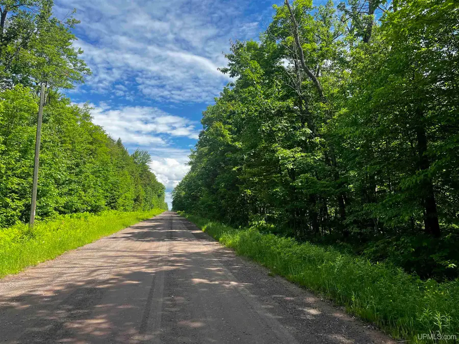 470 Acres Laird, Pelkie, MI 49958 - #2