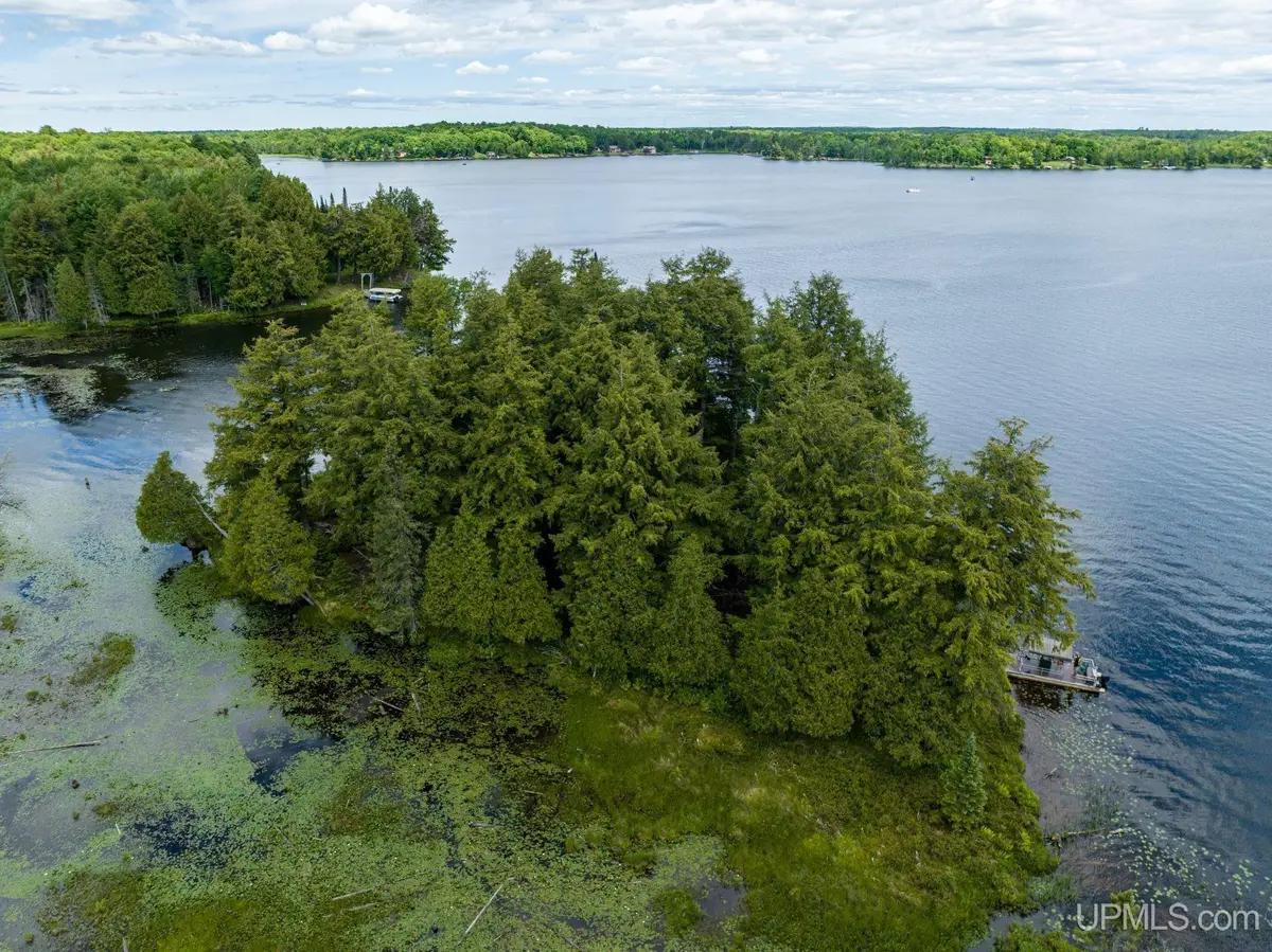 Off Boy Scout Island, Watersmeet, MI 49969 - #1