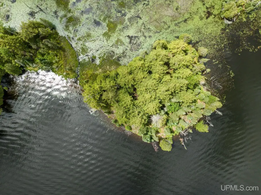 Off Boy Scout Island, Watersmeet, MI 49969 - #2