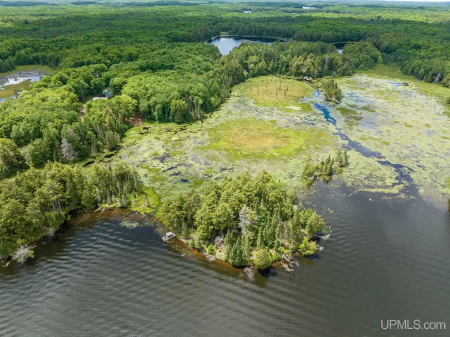 Off Boy Scout Island, Watersmeet, MI 49969 - #3
