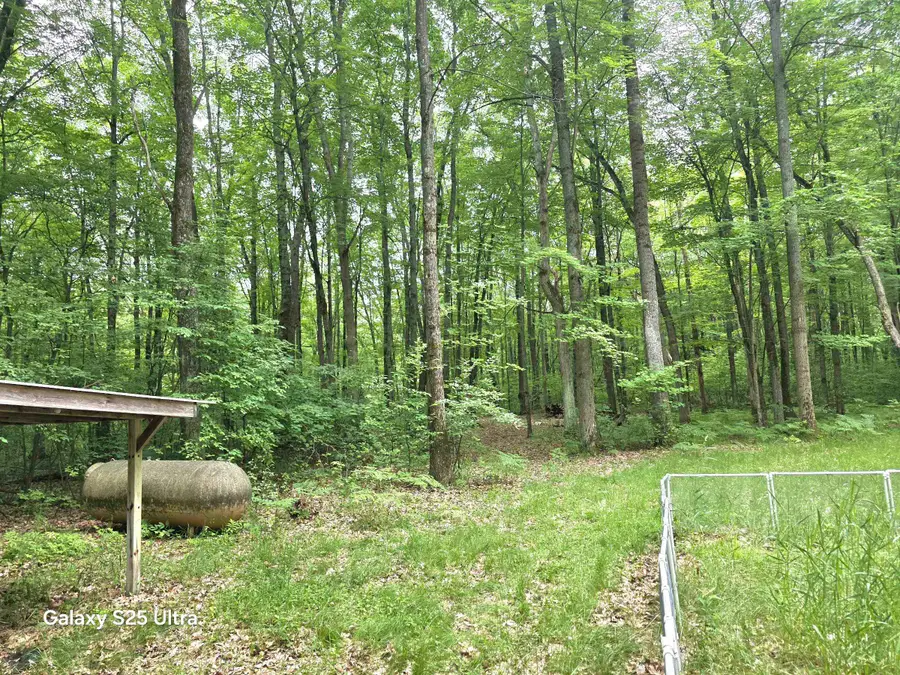 10135 Woods, Gladwin, MI 48624 - #3
