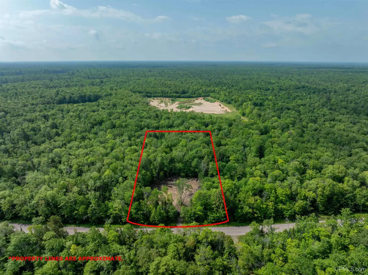 E16137 Co H58, Shingleton, MI 49884 - #1