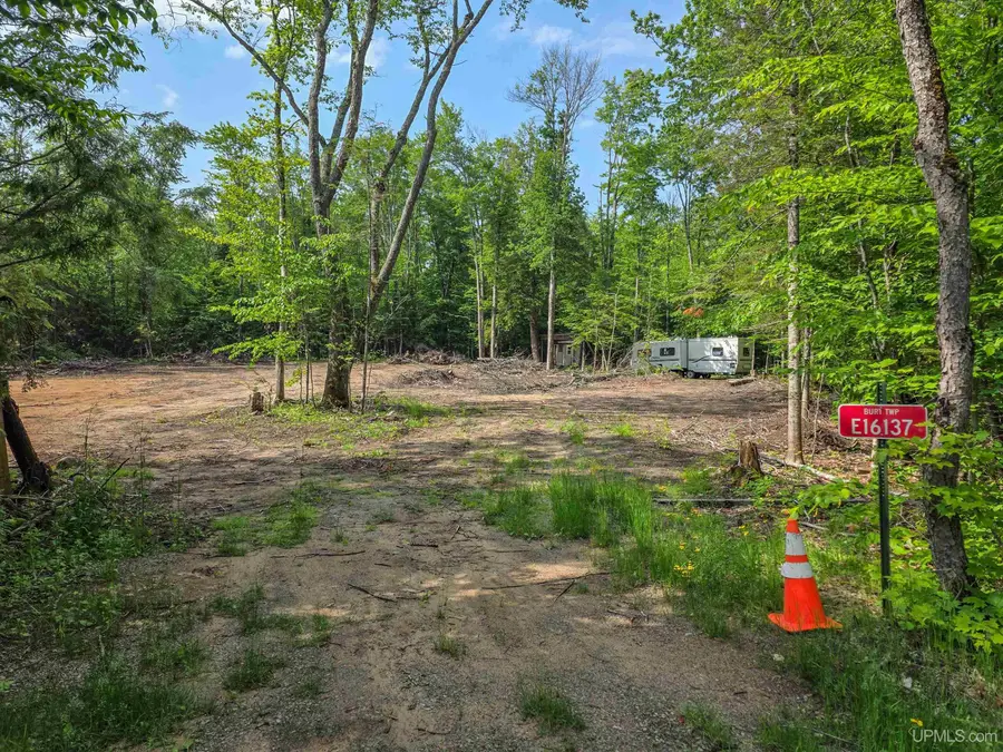 E16137 Co H58, Shingleton, MI 49884 - #2