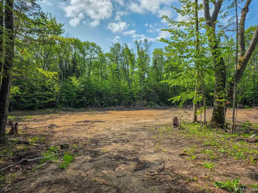 E16137 Co H58, Shingleton, MI 49884 - #3