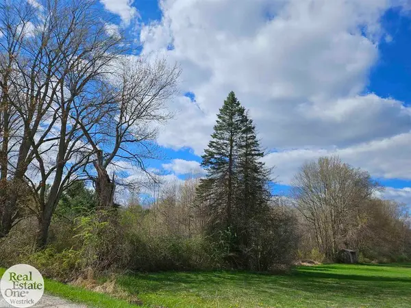 0 Genaw, Cottrellville, MI 48039