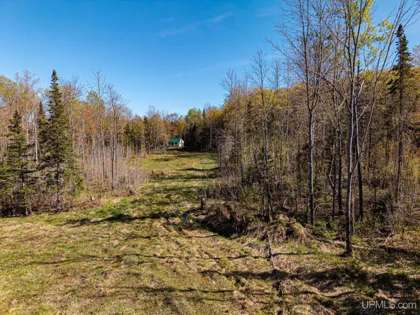 ON Mill, Marenisco, MI 49947