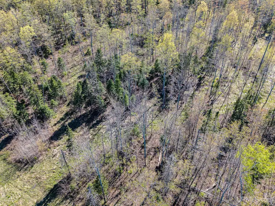 ON Mill, Marenisco, MI 49947 - #2