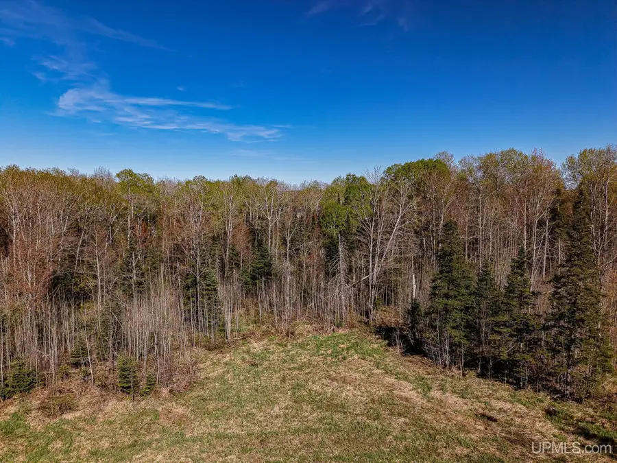 ON Mill, Marenisco, MI 49947 - #3