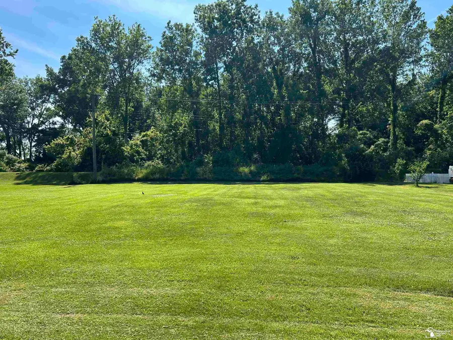 Sycamore, Newport, MI 48166 - #3