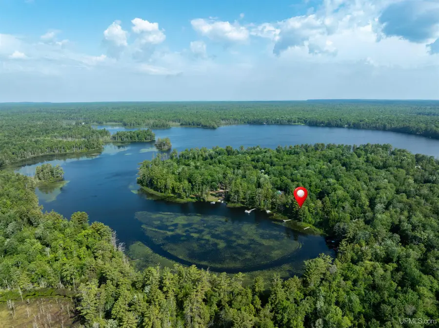E16983 Nevins Lake, Shingleton, MI 49884 - #2
