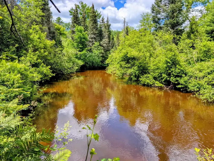 55 acres Old M 28, Kenton, MI 49967 - #2