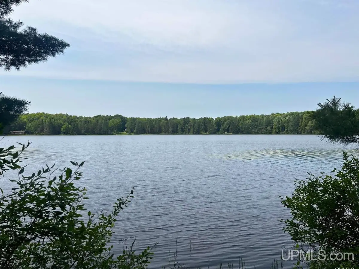 Parcel 1 Grant Lake, Republic, MI 49879 - #1