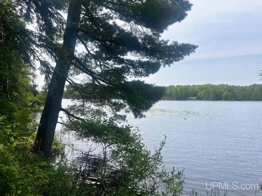 Parcel 1 Grant Lake, Republic, MI 49879 - #3
