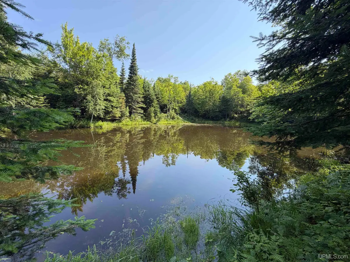 14598 Arnheim, Pelkie, MI 49958 - #1