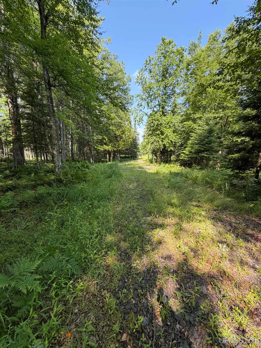 14598 Arnheim, Pelkie, MI 49958 - #3