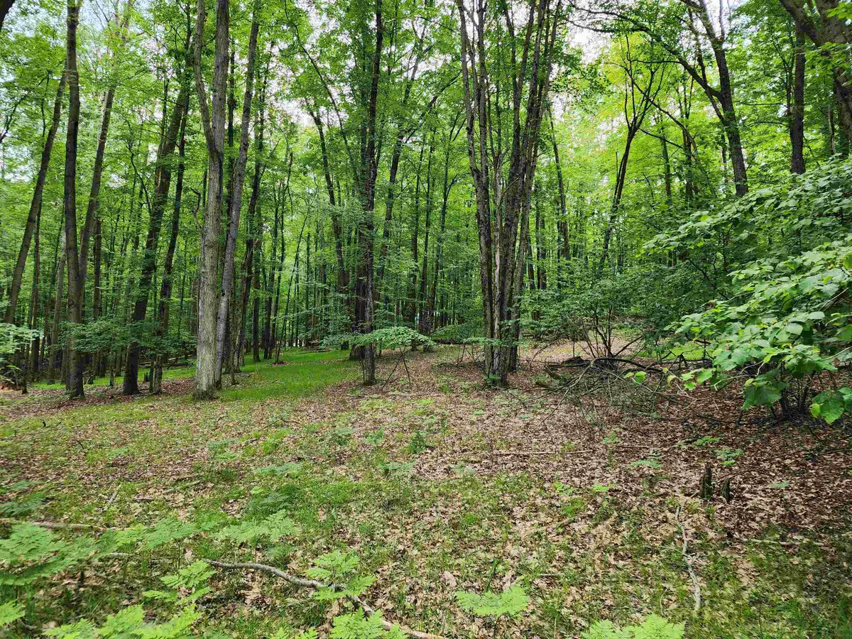 2145 Elkhorn, Farwell, MI 48622 - #1