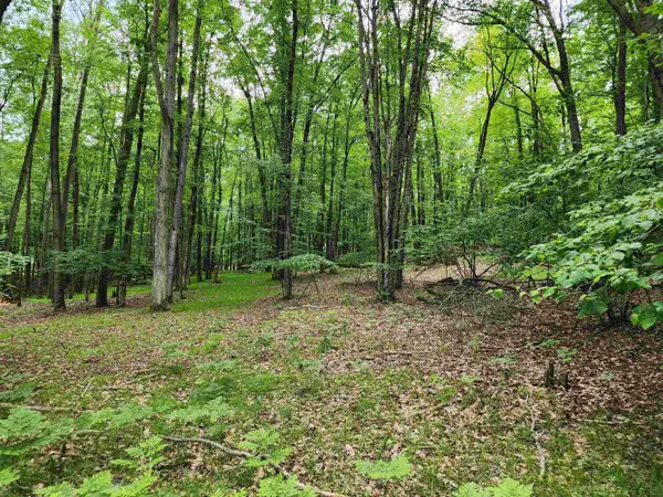 2145 Elkhorn, Farwell, MI 48622