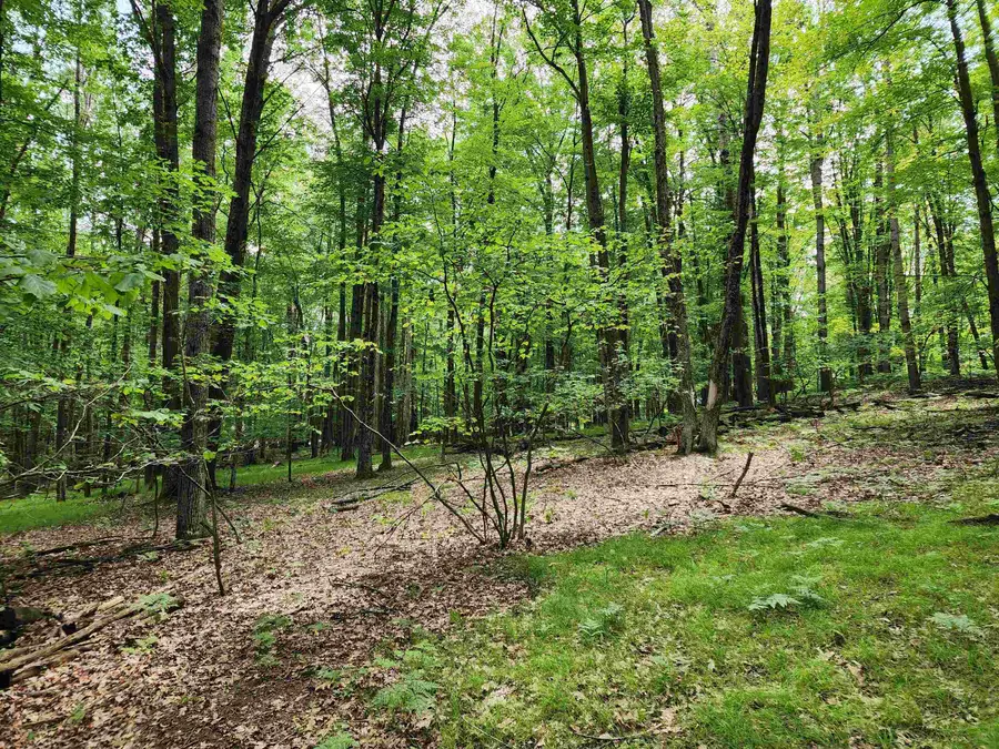 2145 Elkhorn, Farwell, MI 48622 - #3