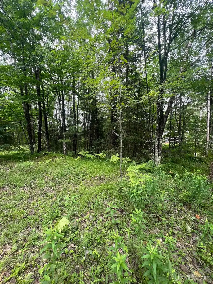 TBD Waucedah, Vulcan, MI 49892 - #3