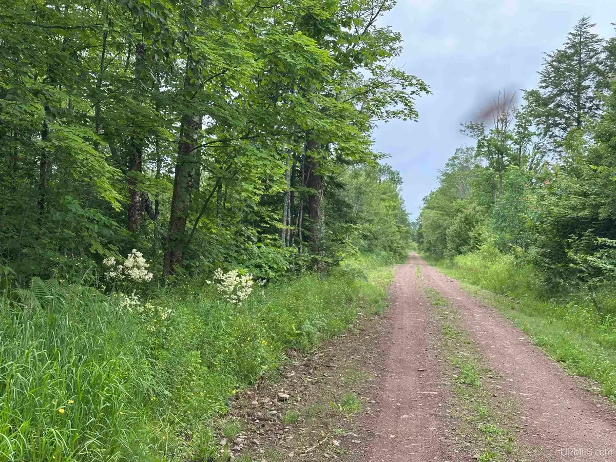 On Fr 484 (aka Camp 3 Rd), Wakefield, MI 49968 - #1