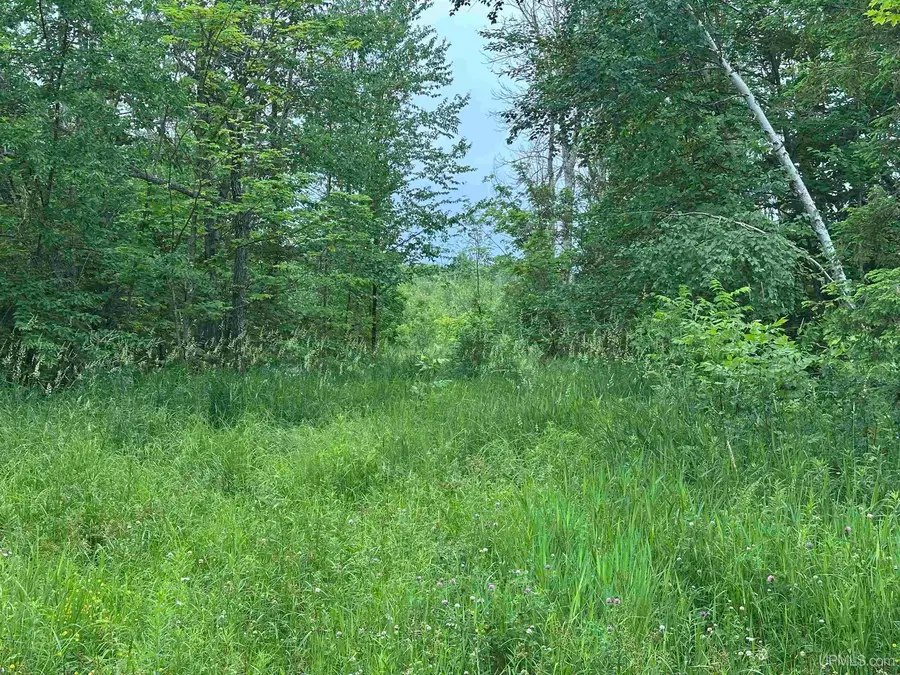 On Fr 484 (aka Camp 3 Rd), Wakefield, MI 49968 - #2
