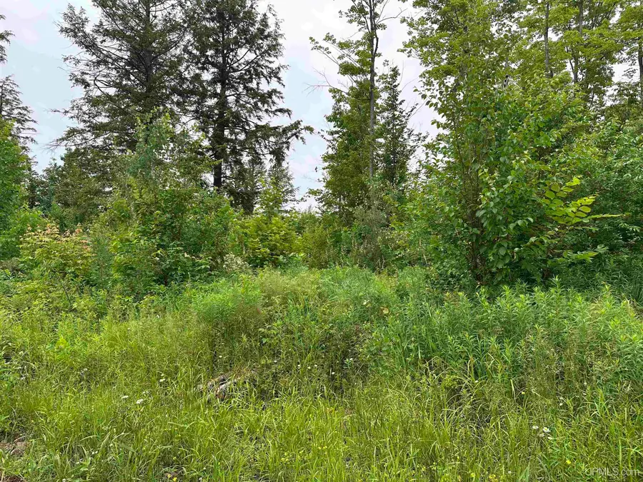On Fr 484 (aka Camp 3 Rd), Wakefield, MI 49968 - #3