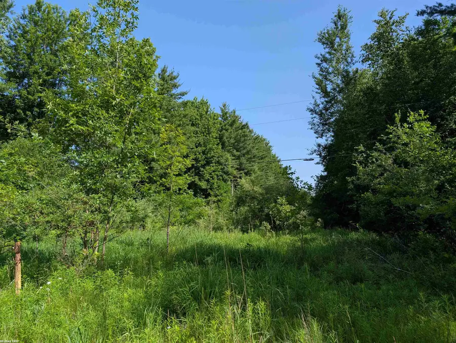 0 Burns Line, Croswell, MI 48422 - #2