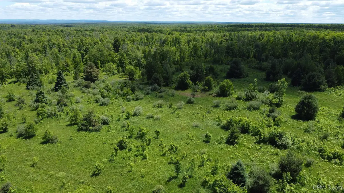 23171 Seppanen, Nisula, MI 49952 - #1