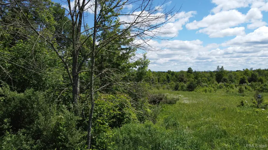 23171 Seppanen, Nisula, MI 49952 - #3