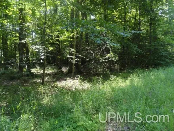 TBD 16 Mile Lk, Au Train, MI 49862