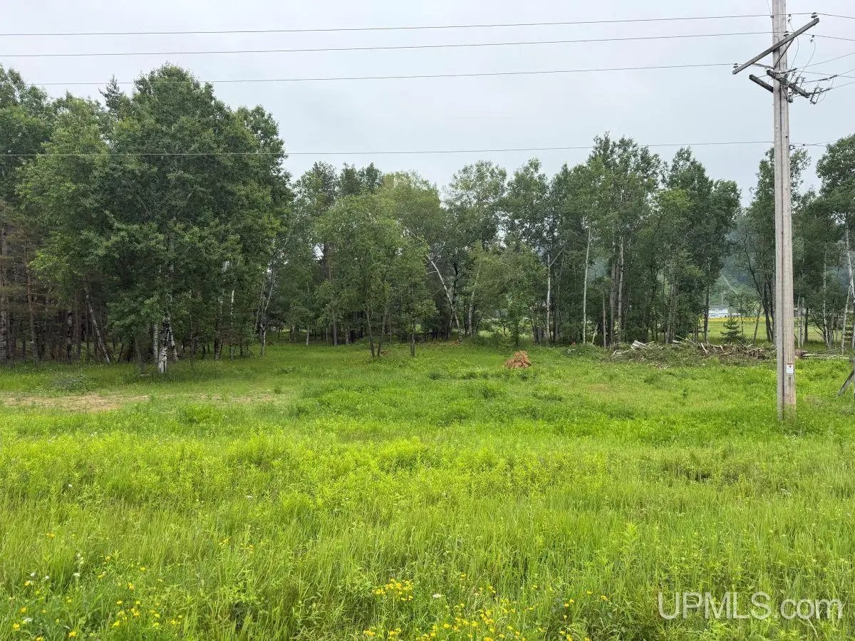 TBD Bellagomba, Iron Mountain, MI 49801 - #1