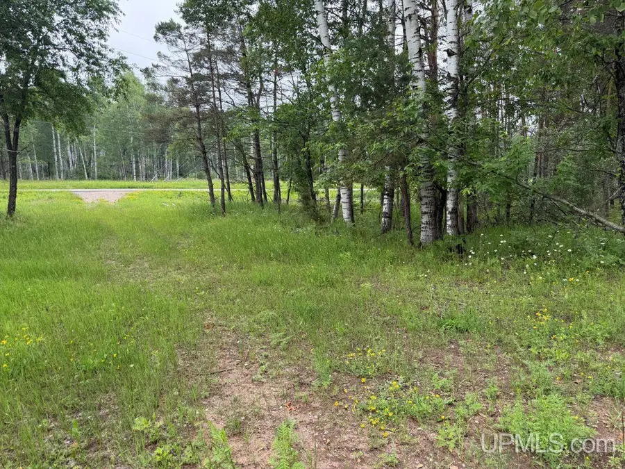 TBD Bellagomba, Iron Mountain, MI 49801 - #3
