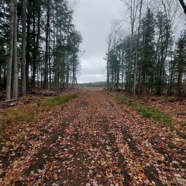 40 +/- Acres Off Mangum, Marquette, MI 49855