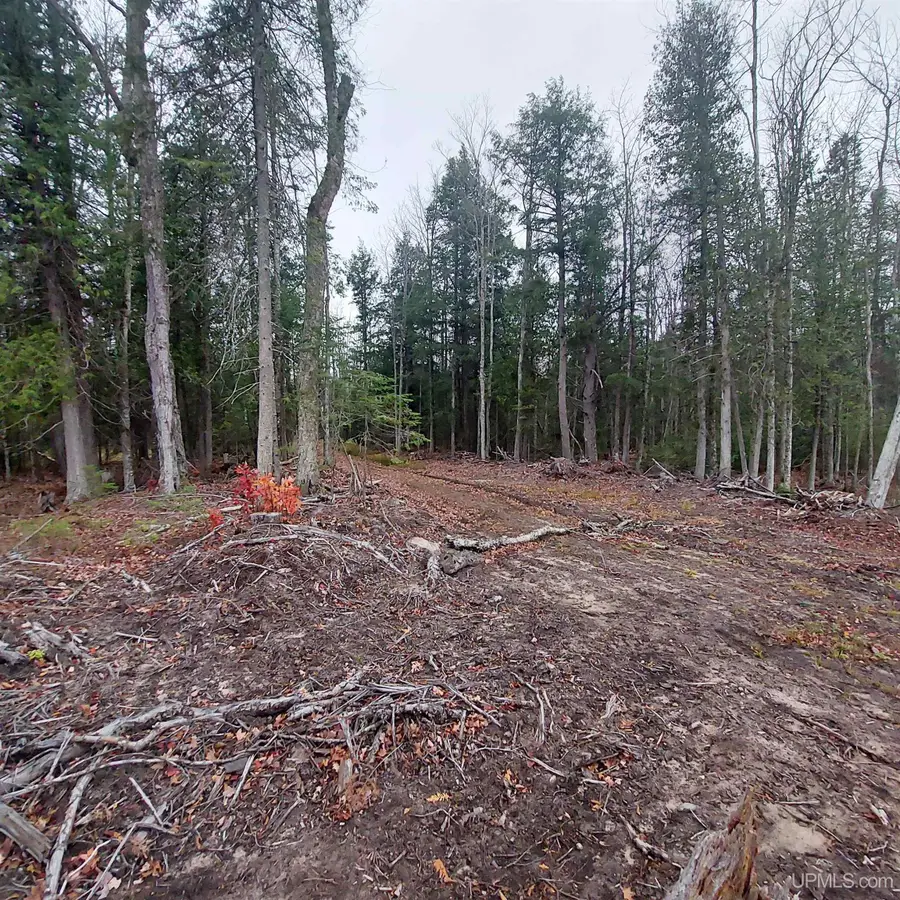 40 +/- Acres Off Mangum, Marquette, MI 49855 - #2