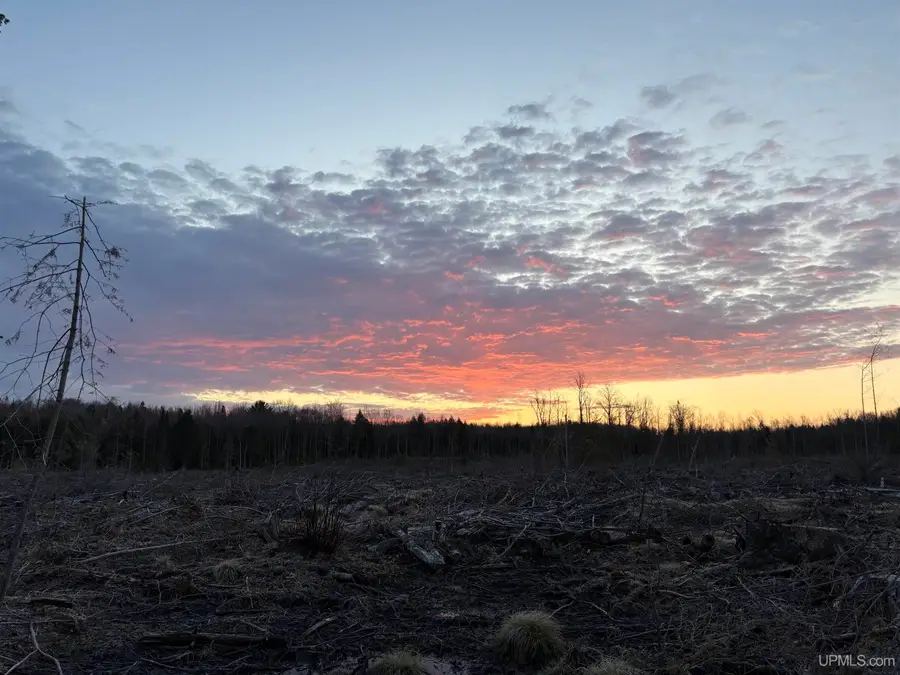 40 +/- Acres Off Mangum, Marquette, MI 49855 - #3